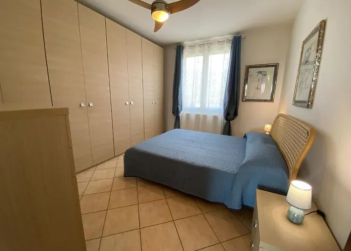 Melograno In Feriolo